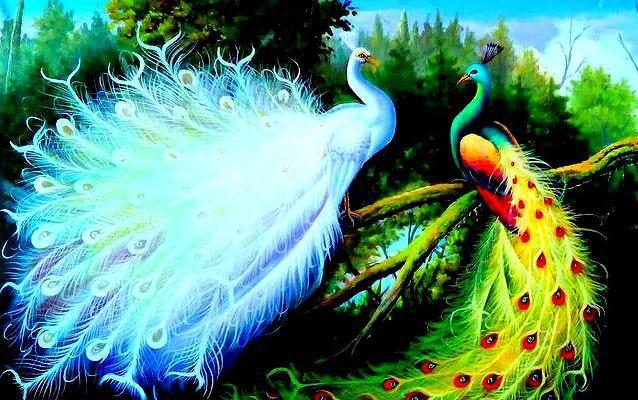 心理学哪幅孔雀图最漂亮测出你多少岁会迎来人生的大逆转