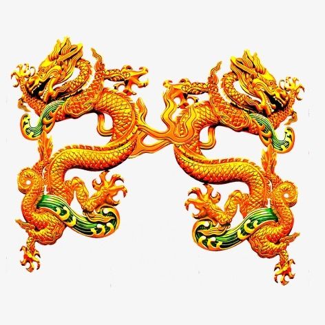 > 金色双龙
