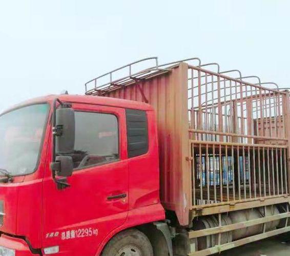 出售拉猪车一辆 - 10万