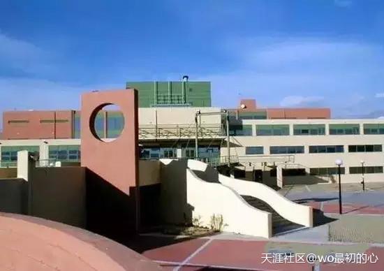 约阿尼纳大学 (学校)