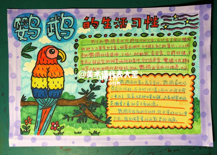 原创手绘小报 鹦鹉的生活习性_手绘_绘画_素描_马克笔