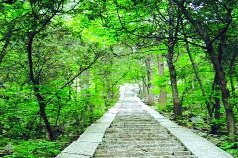 腊山国家森林公园怎么样