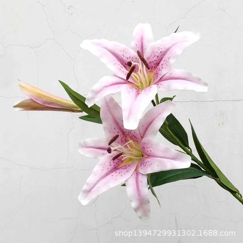 品名:3头手感大百合 材质:手感 尺寸:整枝长约95厘米,3叉,2朵花,花头