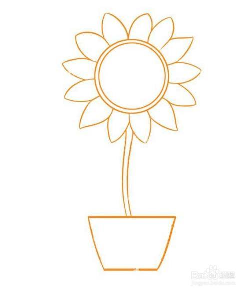 带花盘的小花的简笔画