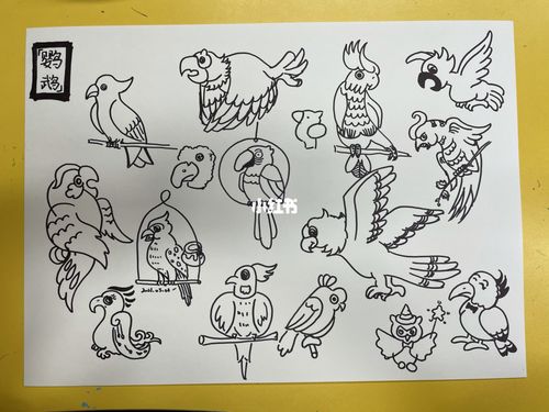 简笔画-鹦鹉_鹦鹉_简笔画_绘画_画画_文化_绘画