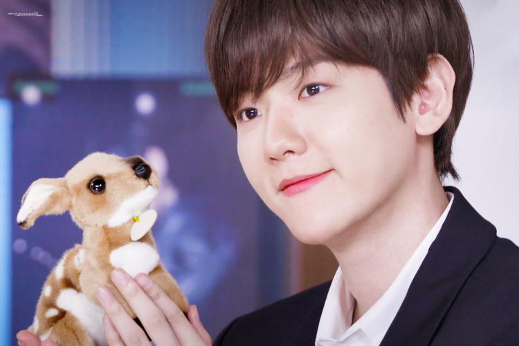 优质壁纸:边伯贤bambi