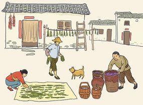 腌咸菜腌酱菜插画