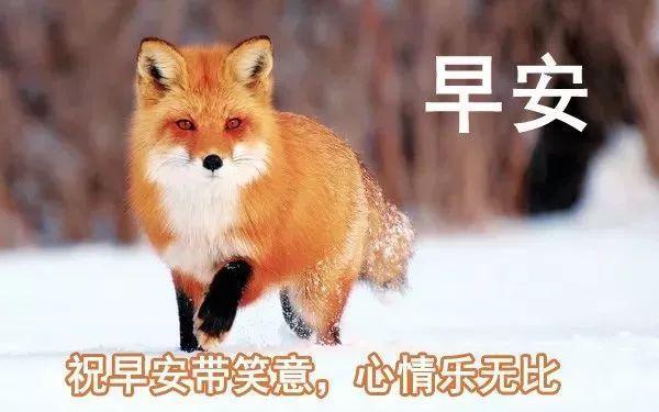 鼠年早安祝福语简短创意 2020年早上好祝福语表情图片
