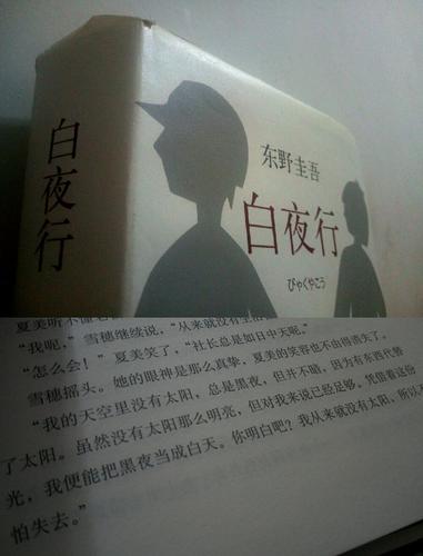 读《白夜行》有感