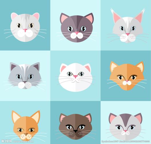猫咪头像图片
