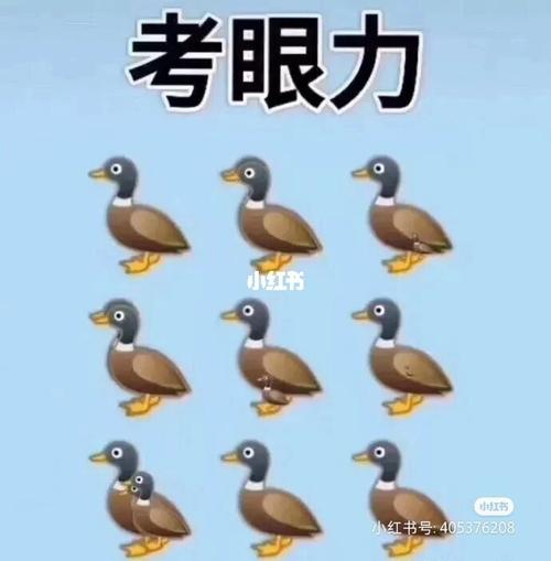 考考眼力,图中有几只鸭子_素材_素材其他