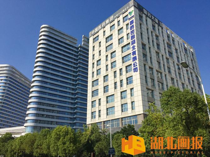 国药集团国药控股湖北有限公司