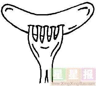 可爱叉子简笔画 (第5页)