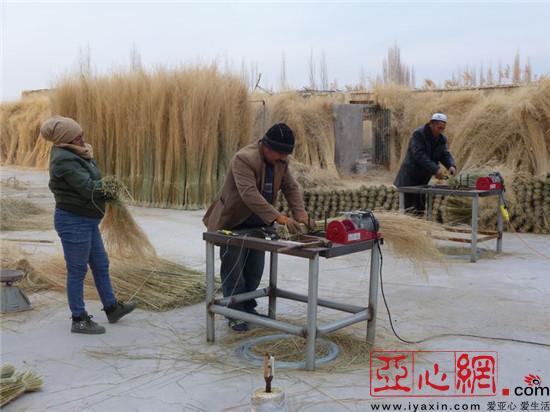 首页 城市 新疆 巴音郭楞  合作社的工人们正在加紧生产芨芨草扫把