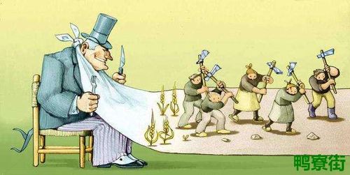 资本主义和社会主义的区别是什么