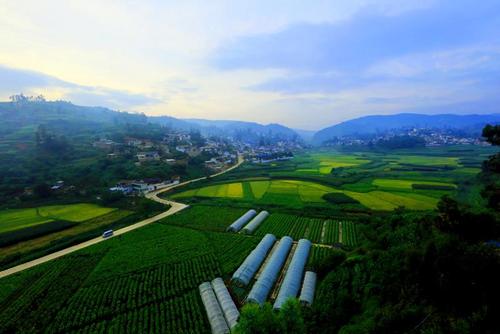 拍摄地点: 云南省玉溪市峨山县大龙潭乡  拍摄时间: 2014-08-21