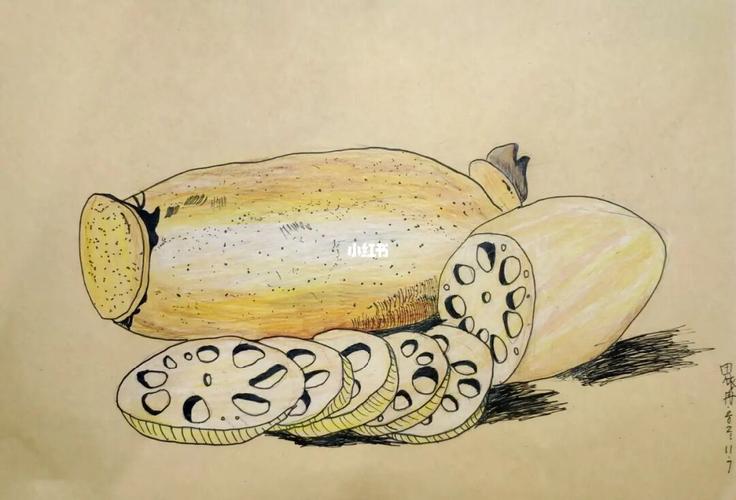 二三年级学员 写生线描 【莲藕】_写生_线描_兴趣爱好_绘画