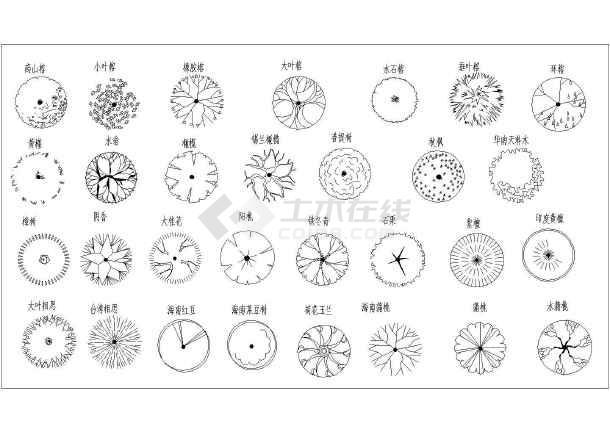 很全的南方植物乔灌木cad平面图块图片2