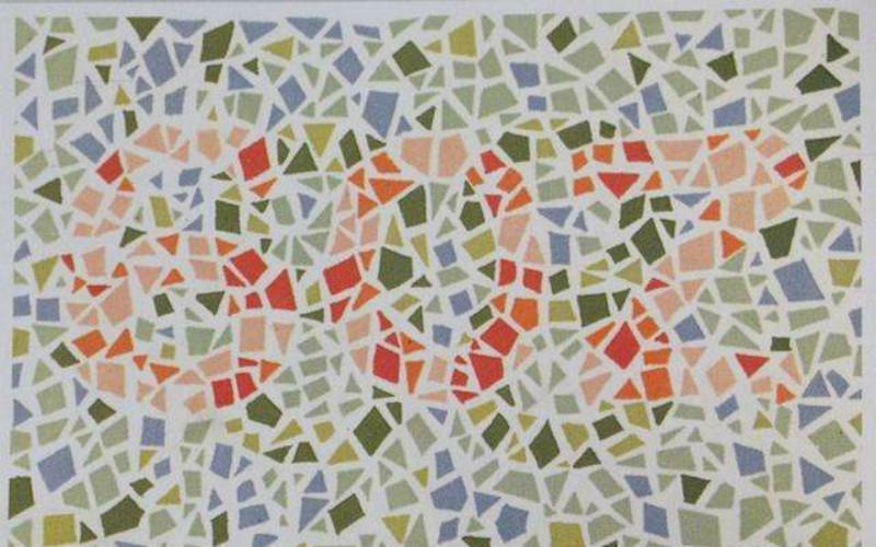 色盲自测图医生通常用图2鉴定色盲找到山羊说明你视力没问题