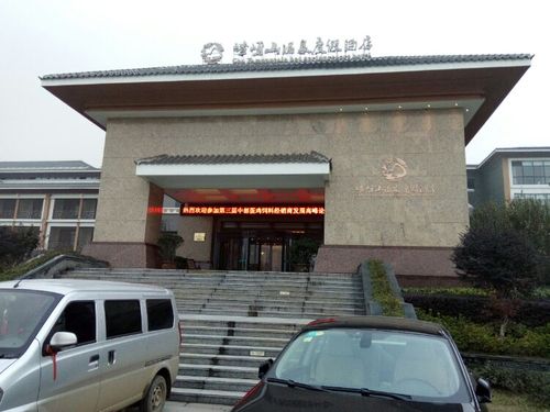 国家五星级旅游饭店:嵖岈山温泉度假酒店,驻马店市高大上的酒店
