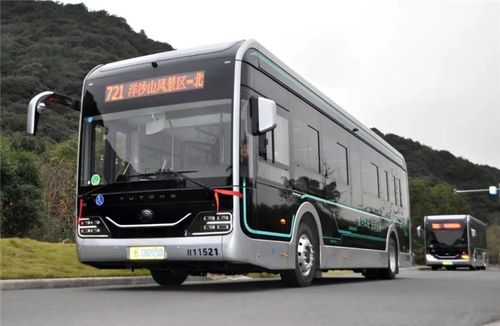 浙江宁波:这种暖心的网红公交车正式上路运营