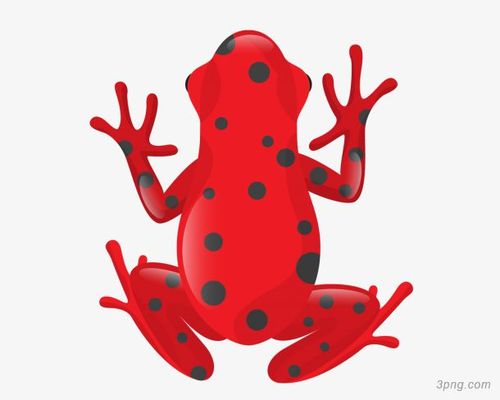 斑点红色青蛙png素材透明免抠图片动植人物