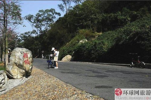 盘点全球十大"怪坡" 都兰怪坡水往高处流