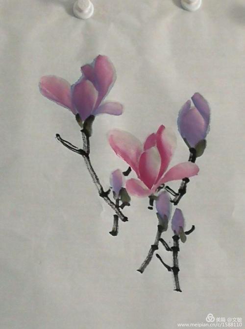 耿老师小写意花鸟中级二:7,辛夷和垂丝海棠的画法