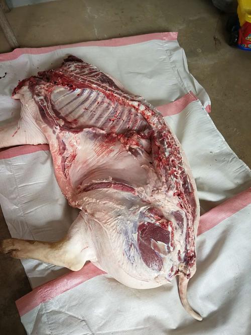 从脱毛到切肉一气呵成,经过半个多小时的时间,一头年猪就变成了一块块