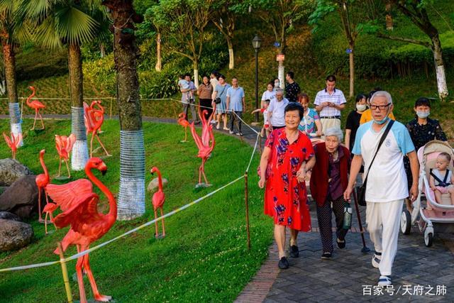 雅安张家山"艾雅康世界爱鸟节"公益免费灯会人物美拍