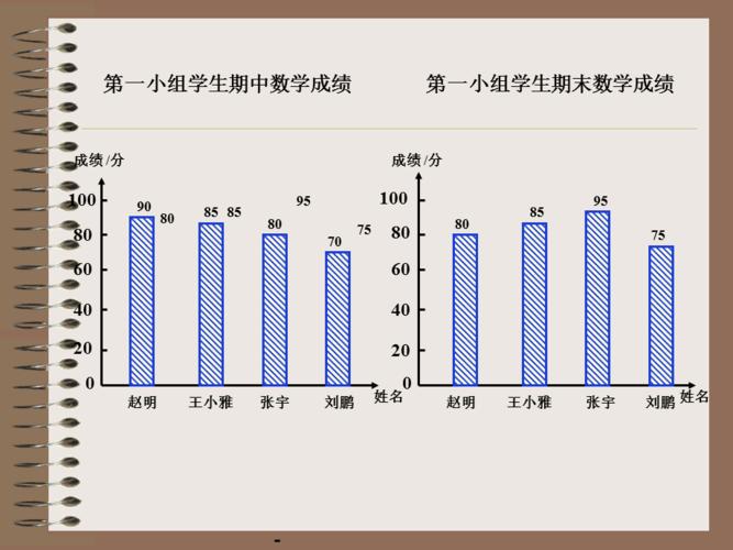 复式条形统计图