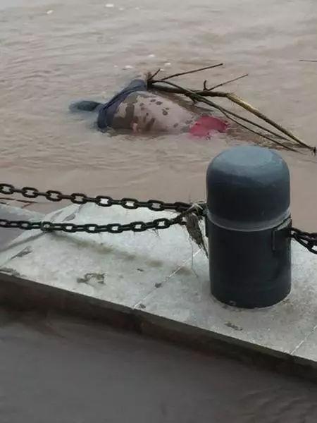 宜宾江边漂来一具男性浮尸身体发黑长满尸斑身份不明