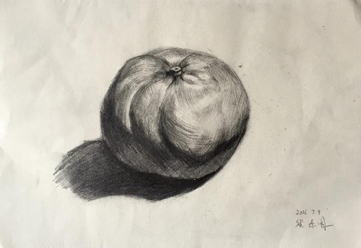 素描静物#     橘子