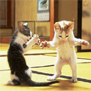 大家一起来跳舞吧!