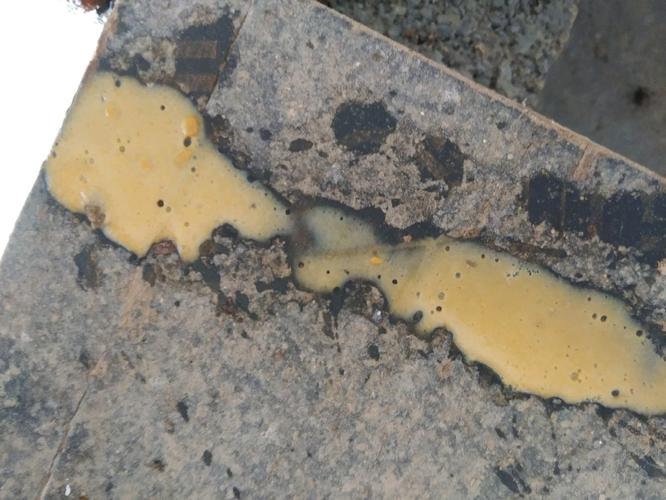 > 正文     猪病阶段: 哺乳仔猪  发病头数: 3头  体温: 39°c  症状