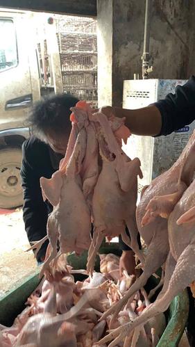 品种名:白条鸡 品种名:白条鸡 货品类别:新鲜 保质期:1个月 真空包装