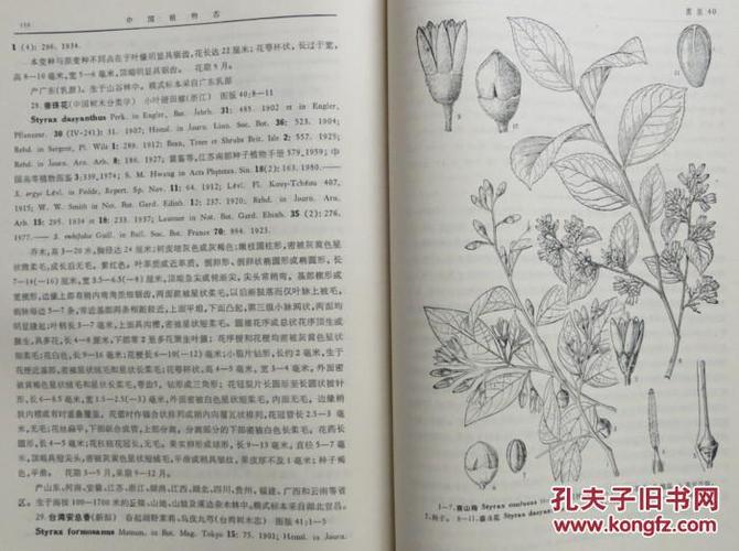 1987年【中国植物志 第六十卷 第二分册】被子植物门