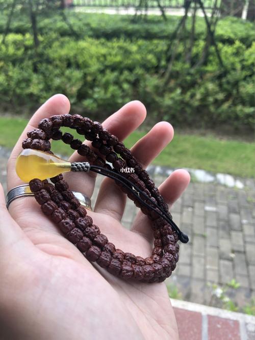 佛手_佛手小金刚_兴趣爱好_兴趣爱好其他