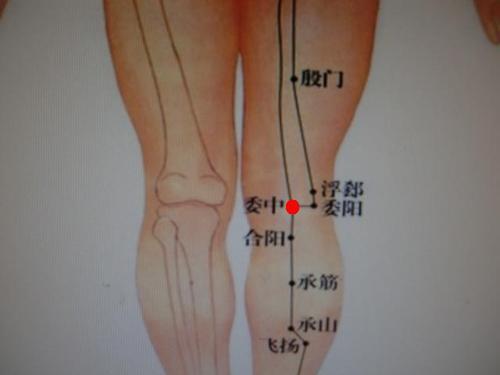 左膝关节膝眼外侧持续疼痛右腿弯曲时疼痛怎么回事