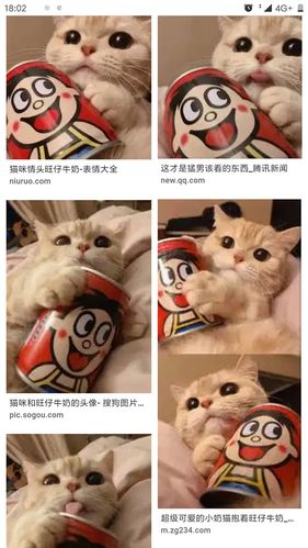 这张猫抱着旺仔的是情头吗已解决