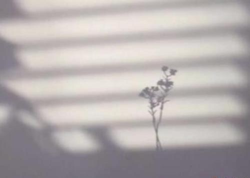 关于熬夜的说说(熬夜党专属的朋友圈说说)