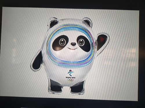 孝德幼儿园小四班―冰雪运动主题活动