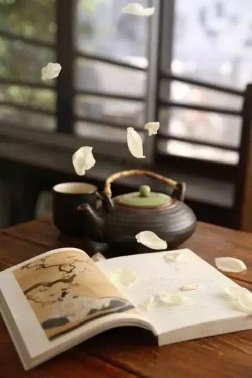 北海锦华禅茶客栈一方庭院深幽处 , 半卷闲书一壶茶