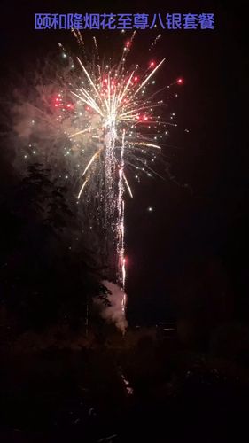烟花视频_烟花_浏阳市颐和隆烟花集团有限公司自由行热门攻略_惊艳到