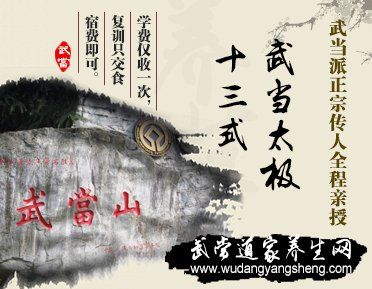 武当太极十三式