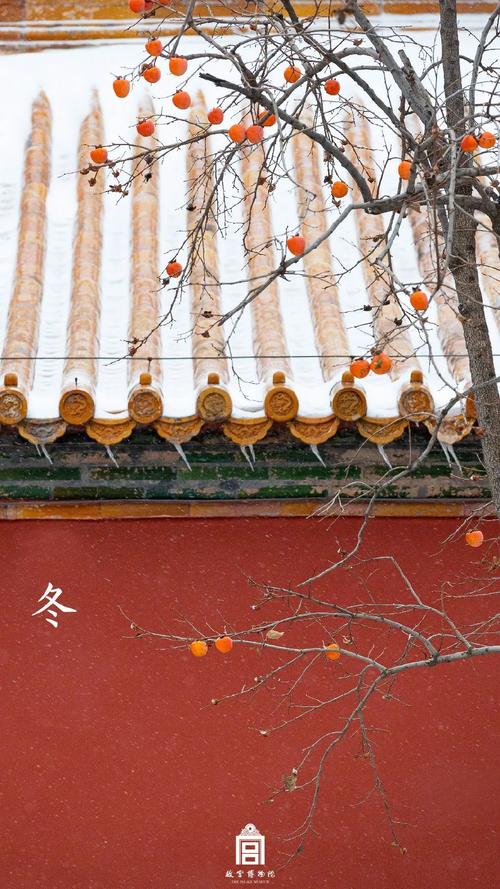 故宫雪景新片来了!带你看紫禁城绝美四季
