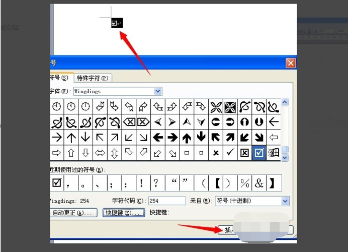 4,选中那个符号,点击"插入"就会在word中插入一个那样的符号.
