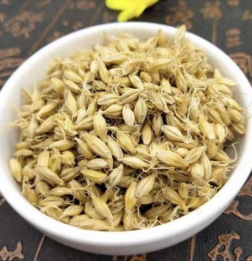麦芽 中药材 天然野生纯新货 大麦芽 生麦芽麦芽