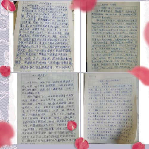 文字书心 笔墨寄情——海西路小学五年级征文比赛小记