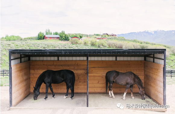 马舍(开放型马房)